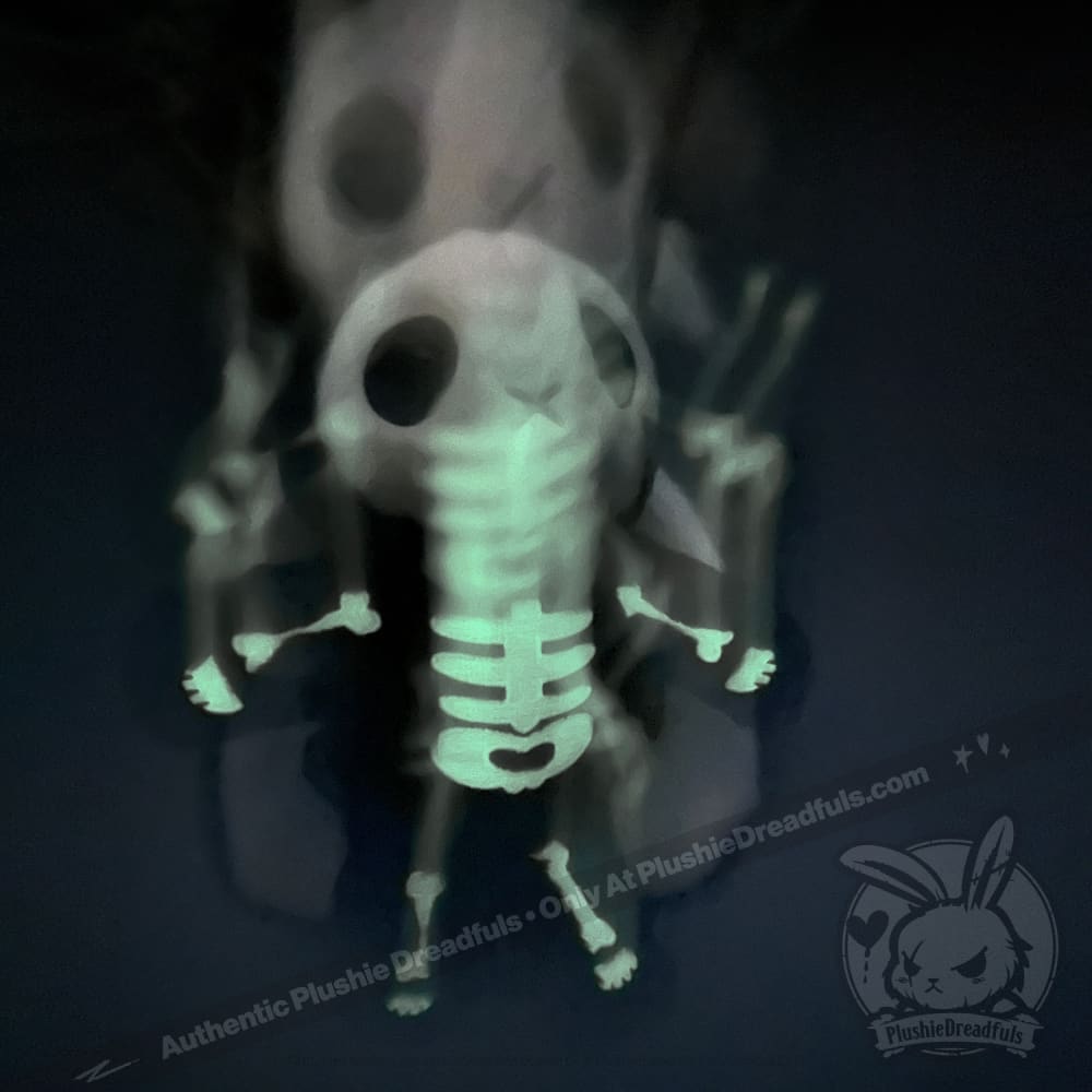 Bone Organ Izer Bunny - Plush Stuffed Animal