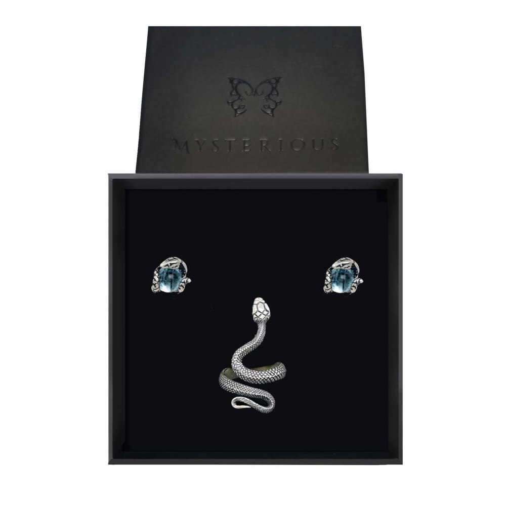 Silver Snake Set